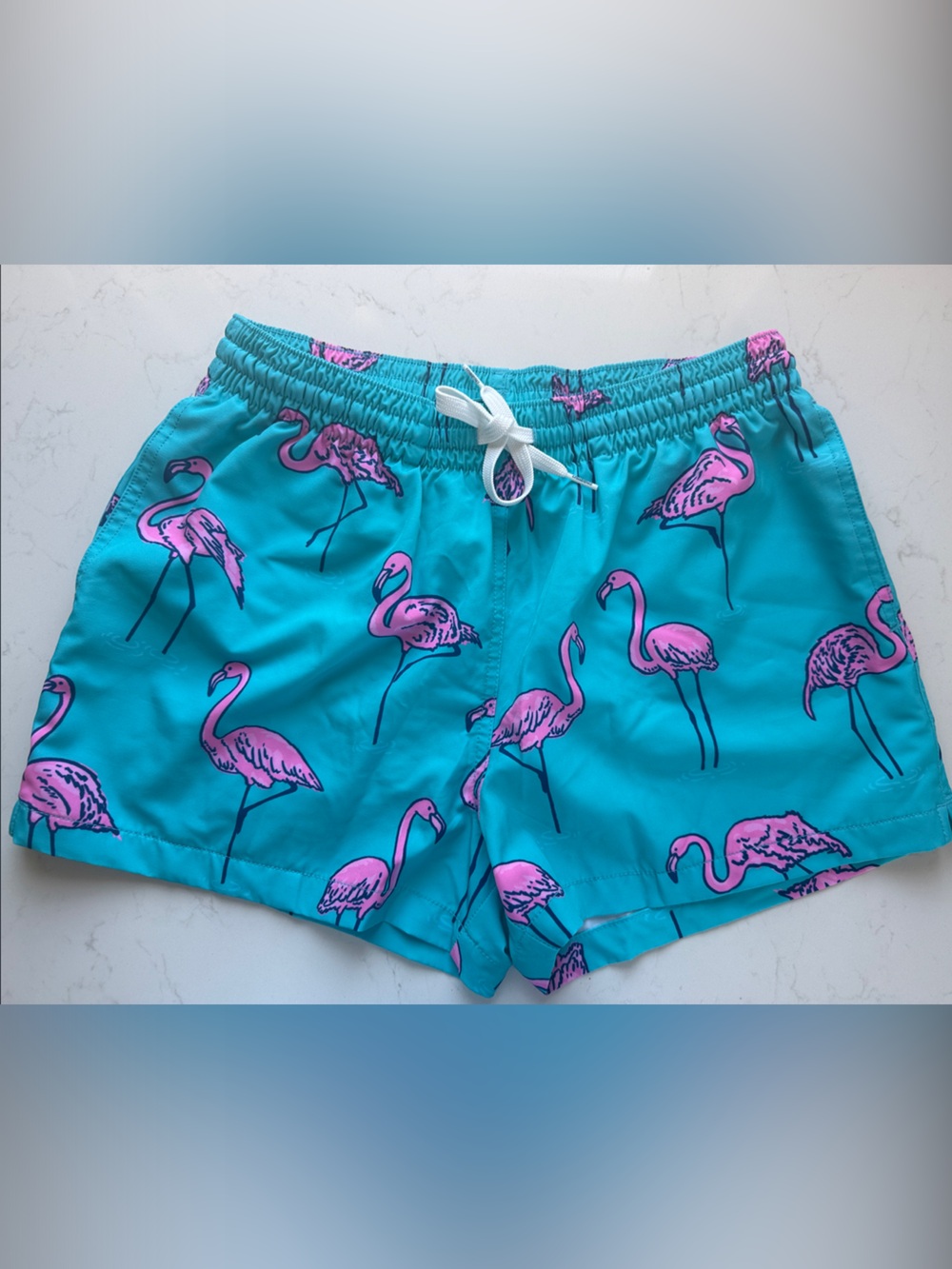 Chubbies Mens Turquoise Flamingo Swim Shorts -M